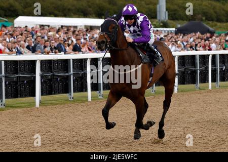 Raatea mit Jason Hart gewinnt das Pertemps Network Handicap am dritten Tag des Northumberland Plate Festivals auf der Rennbahn von Newcastle. Bilddatum: Samstag, 25. Juni 2022. Stockfoto