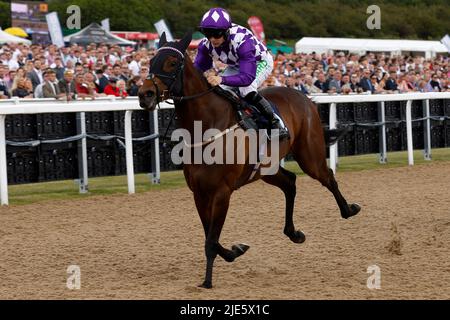 Raatea mit Jason Hart gewinnt das Pertemps Network Handicap am dritten Tag des Northumberland Plate Festivals auf der Rennbahn von Newcastle. Bilddatum: Samstag, 25. Juni 2022. Stockfoto