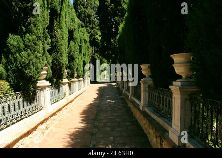 Spazieren Sie durch die Gassen der Parks von Valencia Stockfoto