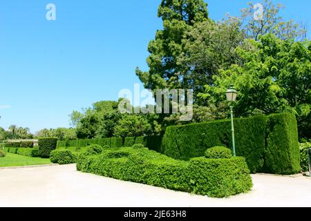 Spazieren Sie durch die Gassen der Parks von Valencia Stockfoto