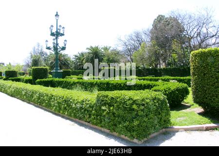 Spazieren Sie durch die Gassen der Parks von Valencia Stockfoto