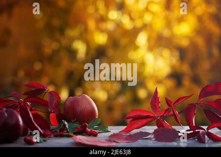 Herbstkomposition mit Äpfeln und gefallenen Blättern auf einem Hintergrund aus goldenem Laub. Stockfoto