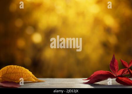 Schöner natürlicher Herbsthintergrund mit bunten Blättern auf einem Holztisch und verschwommenen Bäumen im Park. Rohling für Design, Postkarten oder Werbung. Stockfoto