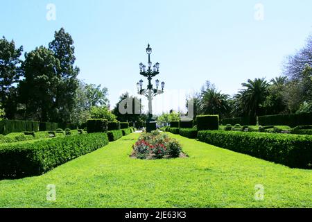 Spazieren Sie durch die Gassen der Parks von Valencia Stockfoto