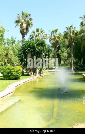 Spazieren Sie durch die Gassen der Parks von Valencia Stockfoto