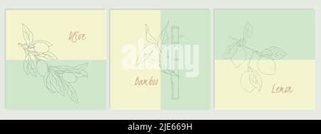 Sammlung von Obstbannern. Set von Sommer Doodle Kontur Oliven Zitrone Bambus. Vektorgrafik Stock Vektor