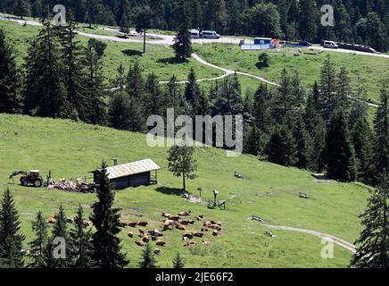 25. Juni 2022, Bayern, Garmisch-Partenkirchen: Polizeibeamte haben sich mit Kühen auf einem Bergrücken in der Nähe einer Almwiese positioniert. Deutschland ist Gastgeber des Gipfeltreffens der wirtschaftlich starken Demokratien G7 (26.-28. Juni). Foto: Angelika Warmuth/dpa Stockfoto