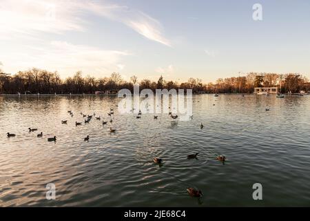 Madrid, Spanien. Der Estanque Grande del Buen Retiro (großer Teich des angenehmen Rückzugs), ein künstlicher See im Park Buen Retiro Stockfoto