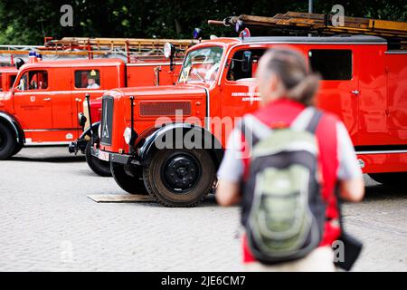 Hannover, Deutschland. 25.. Juni 2022. Auf dem Trammplatz in der Innenstadt Hannovers stehen zum Tag der deutschen Feuerwehrleute 29. verschiedene historische Feuerwehrfahrzeuge, die ein Besucher anschaut. Kredit: Michael Matthey/dpa/Alamy Live Nachrichten Stockfoto