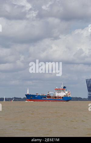Der Tanker Pavino verlässt Harwich Haven auf dem Weg nach Rotterdam. Stockfoto