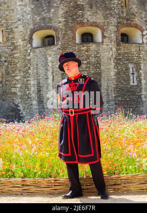 Tower of London, Juni 2022. 20 Millionen Wildblumenkerne wurden in den Moat gepflanzt, um mehr Insekten und Bienen zu fördern, während ein Bienenfresser einwacht Stockfoto