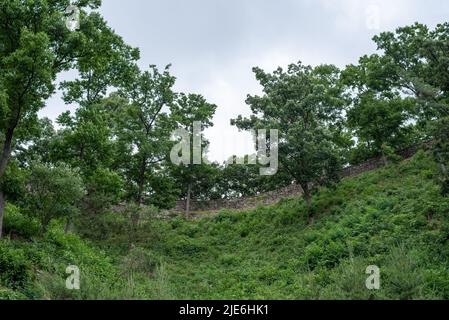 Gongsanseong alte Festung des Königreichs Baekje in Gongju, Provinz Chungcheongnam, Südkorea am 19. Juni 2022 Stockfoto