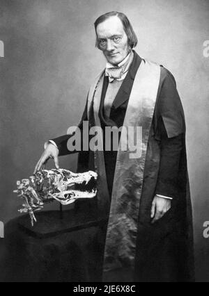 Sir Richard Owen KCB FRS (1804-1892) englischer Biologe, vergleichender Anatom und Paläontologe, der den Begriff dinosaurier prägte, aus dem wir das Wort Dinosaurier ableiten. Owen war ein ausgesprochener Kritiker von Charles Darwins Evolutionstheorie durch natürliche Selektion. Foto: 1856. Stockfoto