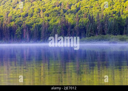 Kanadische Sommerlandschaft in den Laurentian Mountains, Quebec Stockfoto