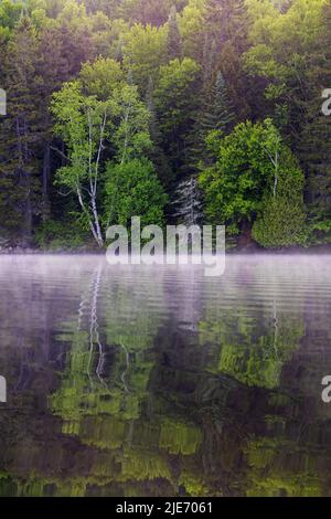 Kanadische Sommerlandschaft in den Laurentian Mountains, Quebec Stockfoto