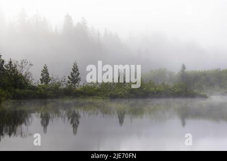 Kanadische Sommerlandschaft in den Laurentian Mountains, Quebec Stockfoto