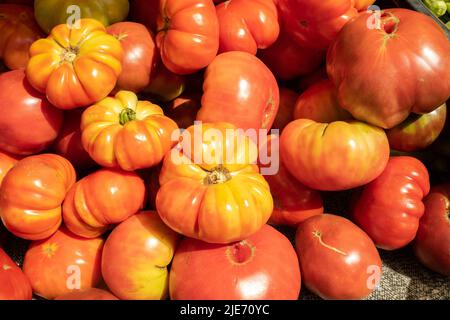 Der Sommer bietet eine Vielzahl von Optionen für Touristen und Einwohner wie Charleston, South Carolina, wie zum Beispiel den Farmer's Market an Samstagen zu besuchen. Stockfoto
