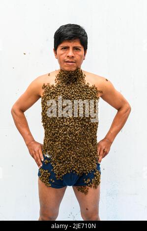 Der Mensch ist von vielen Bienen bedeckt Stockfoto