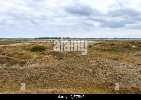 Blick auf eine Dünenlandschaft, Nationalpark der Slufter auf der Insel Texel, Niederlande Stockfoto