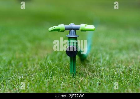 Nahaufnahme des Grases mit dem Sprinkler Stockfoto