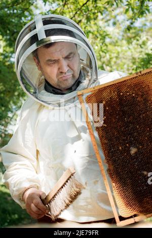 Ein Imker im Schutzanzug schüttelt den Honigrahmen von den Bienen mit dem Pinsel. Pumpender Honig. Bienenzucht. Imker. Stockfoto