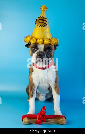 Lustige Boston Terrier Handtücher – Süße Herbst-Hunde Für Küche & Bad, Perfekt Als Geschenk Zu Weihnachten Oder Zum Einzug