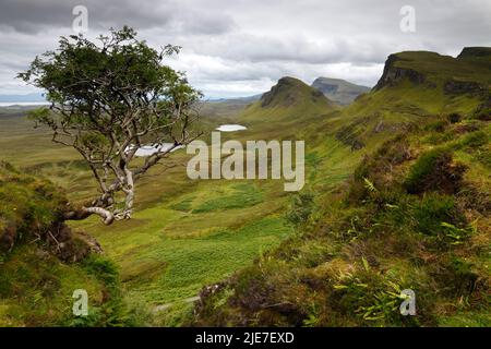 The Quiraing (auf Gälisch: A' Chuith-Raing) auf der Isle of Skye, Schottland Stockfoto