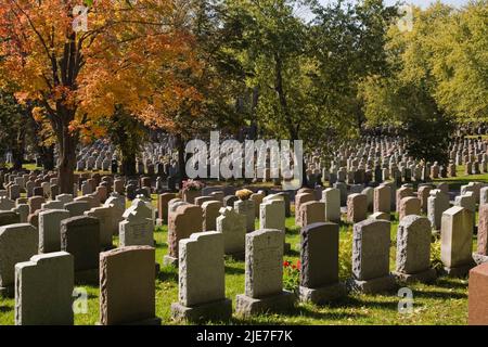 Grabsteinreihen auf dem Friedhof Notre-Dame-des-Neiges auf dem Mount Royal im Herbst, Montreal, Quebec, Kanada. Stockfoto