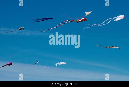 Richmond, Kanada. 25.. Juni 2022. Drachen werden am 25. Juni 2022 beim Pacific Rim Kite Festival im Garry Point Park in Richmond, British Columbia, Kanada, gesehen. Quelle: Liang Sen/Xinhua/Alamy Live News Stockfoto