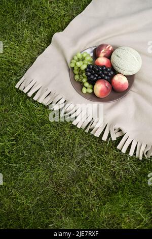 Frisches Obst auf dem Teller auf der Decke im Freien im Park. Sommertraube, Pfirsich, Melone. Picknick mit buntem Essen auf dem Gras. Speicherplatz kopieren. Stockfoto