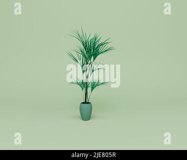 3D Darstellung der Areca Palm Zimmerpflanze isoliert auf Pastell Hintergrund, 3D Hintergrund minimale Szene Stockfoto