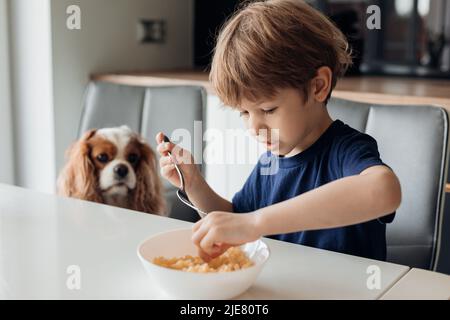 Kleiner Junge, der morgens mit einem süßen Welpen am Tisch in der modernen Küche sitzt, frühstückt und in der Nähe Milchpads mit der Hand nimmt. Home Leben von glücklich Stockfoto