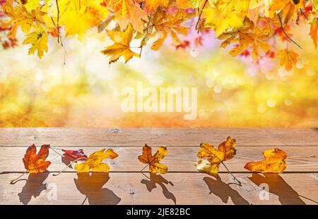 Orangefarbene Herbstblätter auf Holzboden, natürlicher Hintergrund im Herbst mit Ahornbäumen Stockfoto