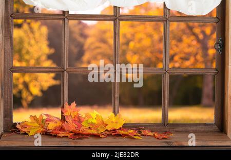 Altes Holzfenster und Blick auf den Innenhof mit gelb fallenden Blättern Stockfoto