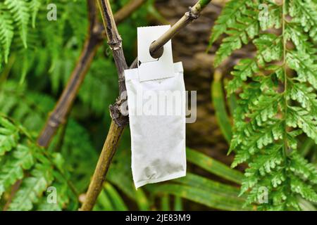 Beutel mit nützlichen Raubmilben, die zur Schädlingsbekämpfung an der Pflanze verwendet werden Stockfoto