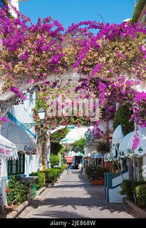 Blumenschmuck auf Bögen in einer Gasse von Puerto de Mogan, Bougainvillea (Bougainvillea glabra), Puerto de Mogan, Gran Canaria, Kanarische Inseln, Spanien Stockfoto