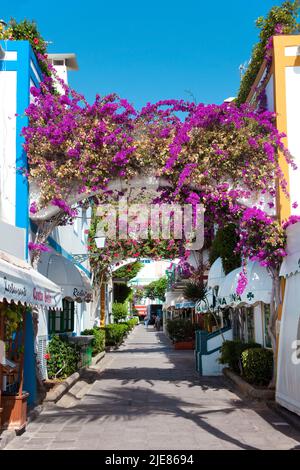 Blumenschmuck auf Bögen in einer Gasse von Puerto de Mogan, Bougainvillea (Bougainvillea glabra), Puerto de Mogan, Gran Canaria, Kanarische Inseln, Spanien Stockfoto