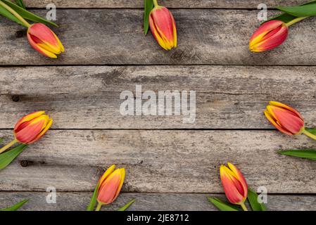 Rahmen aus orange-gelben Tulpen auf dem rustikalen Holztisch. Draufsicht. Stockfoto