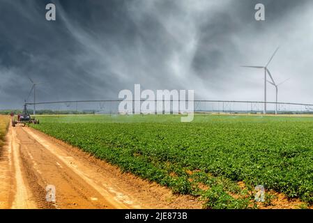 Automatische Bewässerungsanlage auf einem Ackerland mit Windturbinen im Hintergrund. Stockfoto