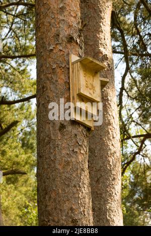 Fledermauskasten auf Baum Stockfoto