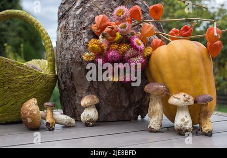 Herbst Saison Zusammensetzung von Kürbis, getrockneten Blumen, Pilze, Baumrinde. Erntedankfest. Herbststimmung Stockfoto