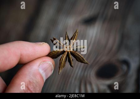 Anisstern aus der Pflanze Pimpinella anisum. Hochwertige Fotos Stockfoto