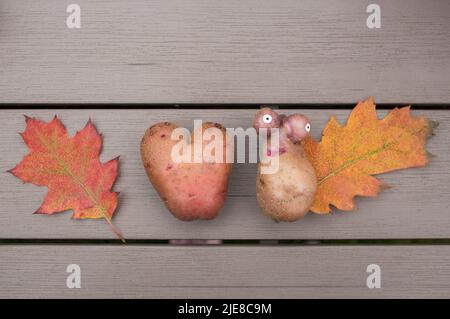 Zwei nicht-Standard-Kartoffeln in Form eines Herzens und in Form eines lustigen hässlichen Kopfes und orangefarbenen Herbstblättern. Landwirtschaftlich positiv. Autum Stockfoto