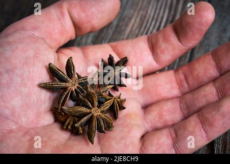 Anisstern aus der Pflanze Pimpinella anisum. Hochwertige Fotos Stockfoto