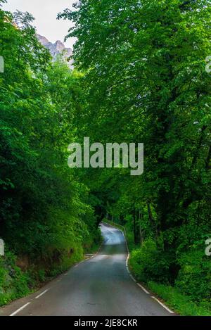 Bergstraße mitten durch den Wald in der Nähe der Stadt Cain, Leon. Stockfoto