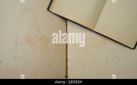 Leeres Buch und Notizbuch, analoger persönlicher Organisator, leere Seiten, Lesen, Literatur, Recherche, freier Speicherplatz für Kopien Stockfoto