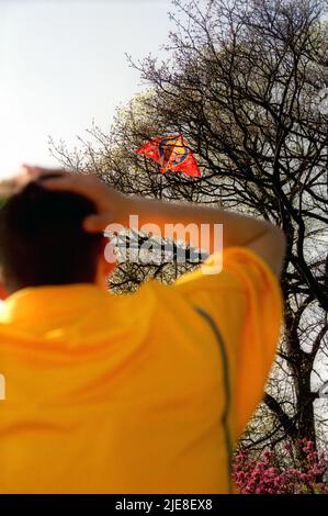 Junger Junge verärgert, als sein Drachen in einem Baum landet Stockfoto