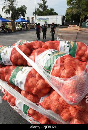 Orlando, Usa. 25.. Juni 2022. Säcke mit Zwiebeln warten darauf, von Freiwilligen bei einer Lebensmittelverteilungsveranstaltung für Bedürftige eröffnet zu werden, die von der Second Harvest Food Bank of Central Florida und Orange County in der St. John Vianney Church in Orlando, Florida, gesponsert wird. Hohe Lebensmittel- und Gaspreise drücken die arbeitenden Familien unter Druck und schicken einige zum ersten Mal in Lebensmittelvorratskammern, aber die Anbieter kämpfen mit den Inflationskosten, da die Nachfrage steigt. Kredit: SOPA Images Limited/Alamy Live Nachrichten Stockfoto