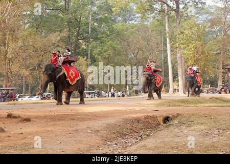 Touristen fahren mit Elefanten vom Angkor Thom South Gate, Siem Reap, Kambodscha nach Bayon. Angkor Thom war die letzte und dauerhafteste Hauptstadt von Khmer Stockfoto