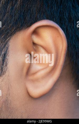 Nahaufnahme des menschlichen Gesichts mit detailgedrehten Ohren Stockfoto